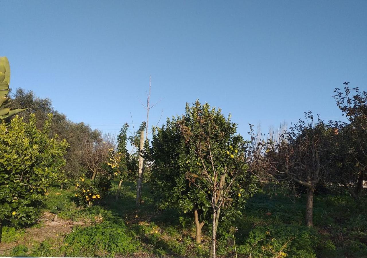 Greenside Of Sea Corujeira Екстер'єр фото